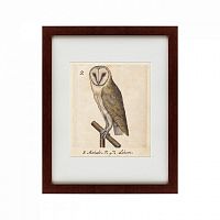 картина: one owl, 1560 в Рязани