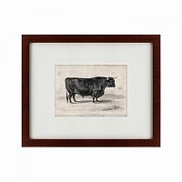 картина: a west highland bull, 1840 в Рязани