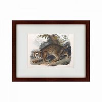 картина: bobcat, 1839 в Рязани