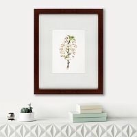 картина: pear tree flowers (pyrus calleryana), 1830 в Рязани