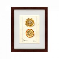 картина: watercolor collection, drawing №5, 1910 в Рязани