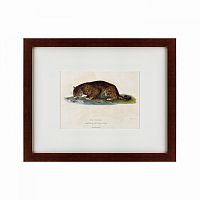 картина: a panther drinking, 1830 в Рязани