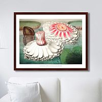 картина: water lily during bloom, 1870г. в Рязани