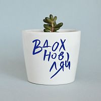 набор для выращивания eco мини-кашпо «вдохновляй» в Рязани