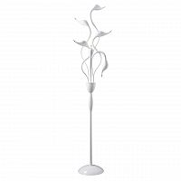 торшер lightstar cigno collo wt 751766 в Рязани