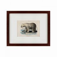 картина: white polar bear on an ice, 1830 в Рязани