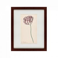 картина: tulp №2, 1815 в Рязани