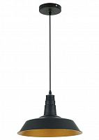 подвесной светильник odeon light kasl 3378/1 в Рязани