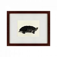 картина: an arakan forest turtle, 1873 в Рязани