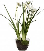 декор allium в Рязани