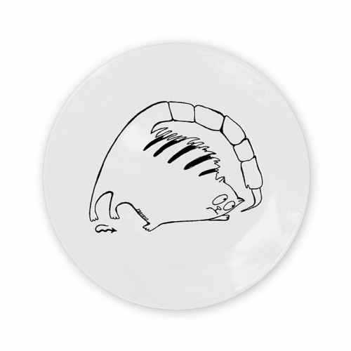 тарелка кот-скорпион в Рязани