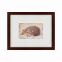 картина: a hedgehog, 1584 в Рязани