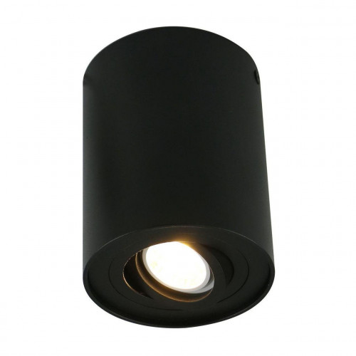 потолочный светильник arte lamp a5644pl-1bk в Рязани