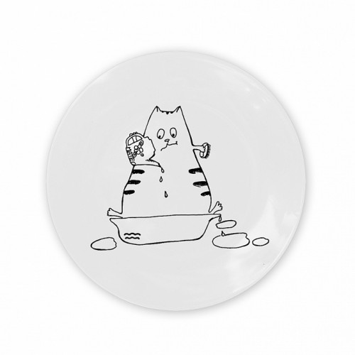 тарелка кот-водолей в Рязани