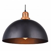 подвесной светильник arte lamp eurica a4249sp-1bk в Рязани