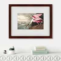 картина: roseate spoonbill, 1827 в Рязани