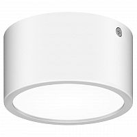 уличный светодиодный светильник lightstar zolla 380163 в Рязани