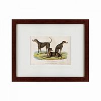 картина: three african bloodhounds, 1830 в Рязани