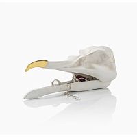 шкатулка для украшений bird skull (белый) в Рязани