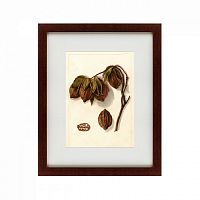 картина: watercolor collection, drawing №3, 1909 в Рязани