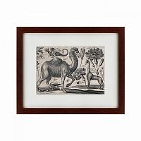 картина: a camel, 1670 в Рязани