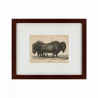 картина: bison, 1828 в Рязани