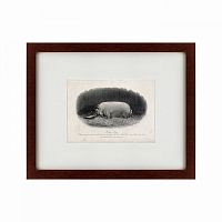 картина: a prize boar, 1867 в Рязани