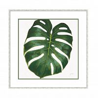 постер monstera зеленый в Рязани