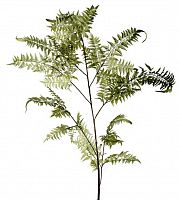 декор fl12056 (giant fern) в Рязани
