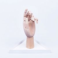 органайзер для украшений the hand белый в Рязани