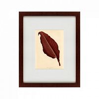 картина: the dark red leaf, 1881 в Рязани