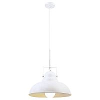 подвесной светильник arte lamp martin a5213sp-1wg в Рязани