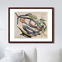 картина: exotic plants of the world №12, 1815г. в Рязани