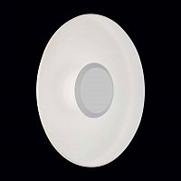 уличный настенный светодиодный светильник st luce sl925.501.01 в Рязани
