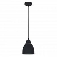 подвесной светильник arte lamp braccio a2054sp-1bk в Рязани