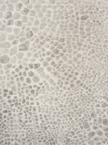 ковер ivory 64227i6575 120x170 в Рязани