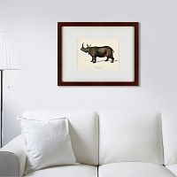 картина: rhinoceros ancienne gravure, 1849 в Рязани
