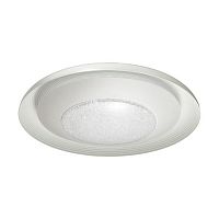 потолочный светодиодный светильник odeon light benso 4623/48cl в Рязани