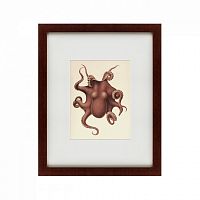 картина: pacific octopus, 1731 в Рязани
