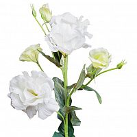 лизиантус белый 77 см (12) в Рязани