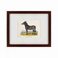 картина: a zebra, 1830 в Рязани