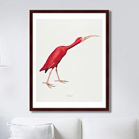 картина: scarlet ibis, 1827г. в Рязани