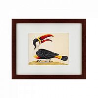картина: white-throated toucan, 1716 в Рязани
