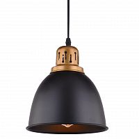 подвесной светильник arte lamp eurica a4245sp-1bk в Рязани