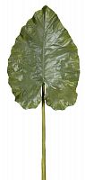 декор giant taro leaf в Рязани