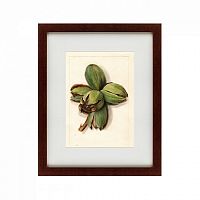 картина: watercolor collection, drawing №1, 1909 в Рязани