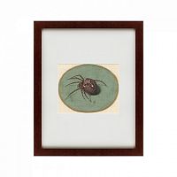картина: spider, 1690 в Рязани