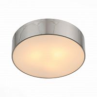потолочный светильник st luce bagno sl468.502.01 в Рязани