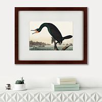 картина: florida cormorant, 1835 в Рязани