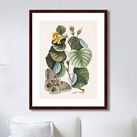 картина: beauty bloom №3, 1732г. в Рязани